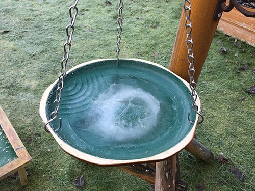 Frozen Bird Bath