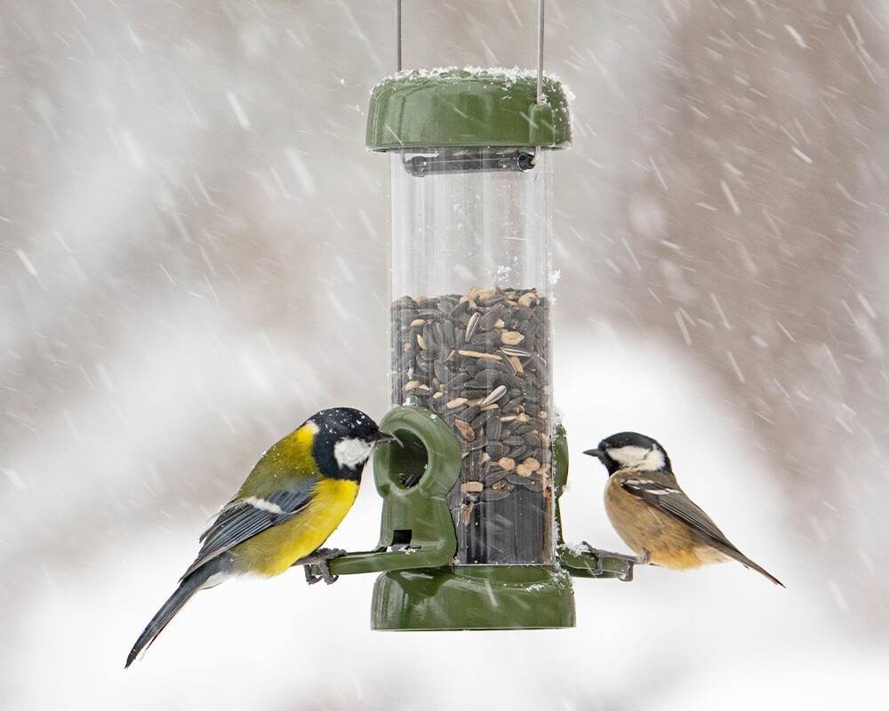 Ring-Pull™ Click Metal Seed Feeder