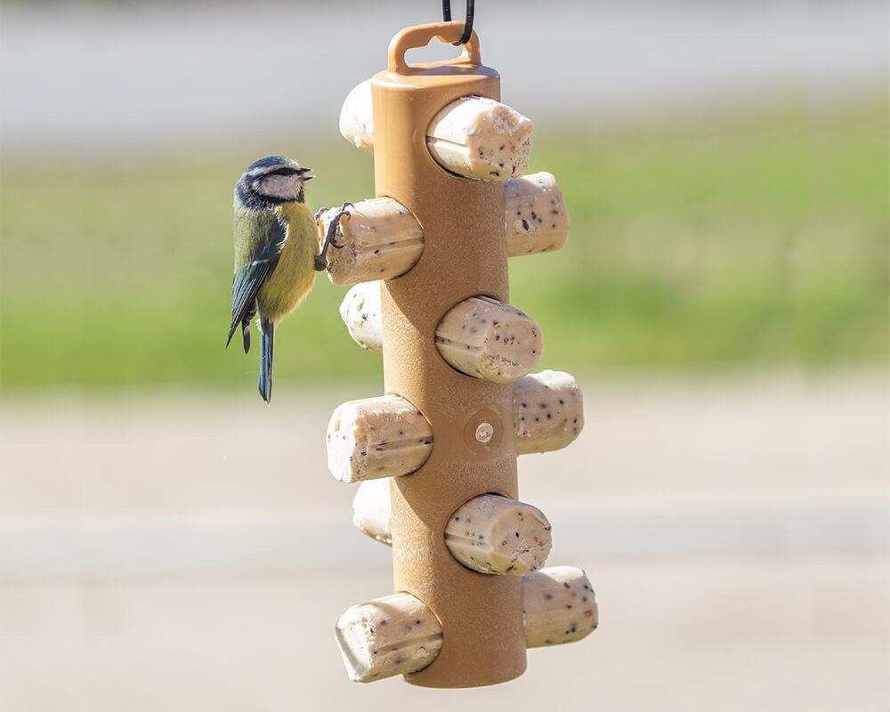 Suet Log Bird Feeder