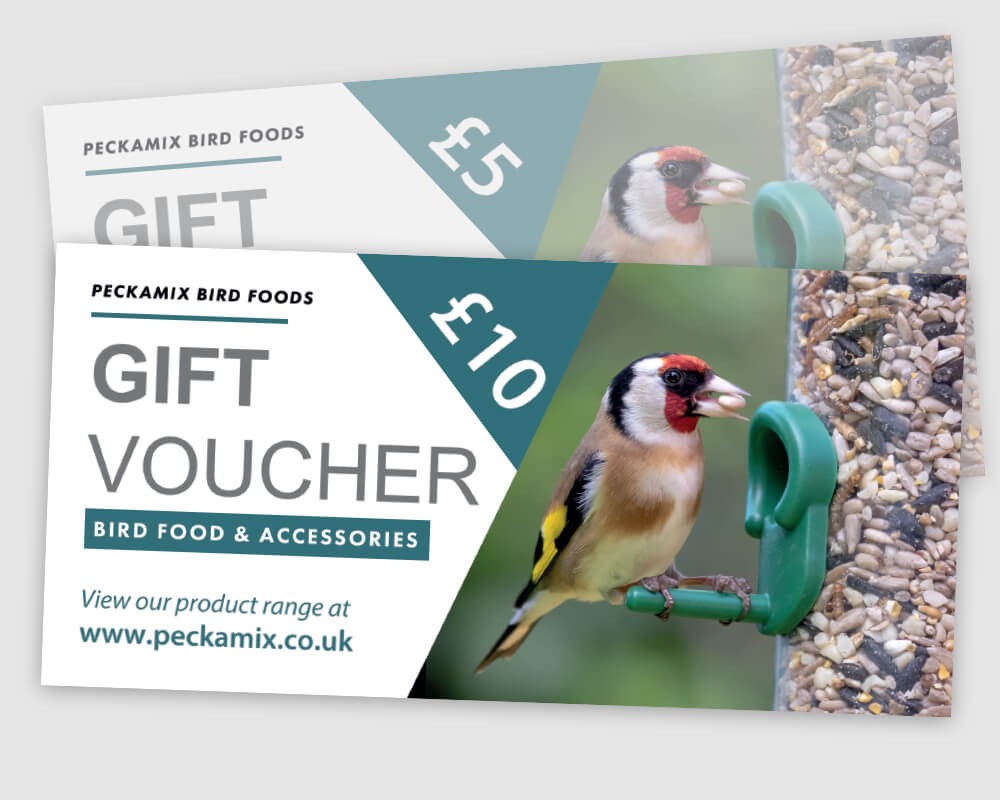 Gift Vouchers