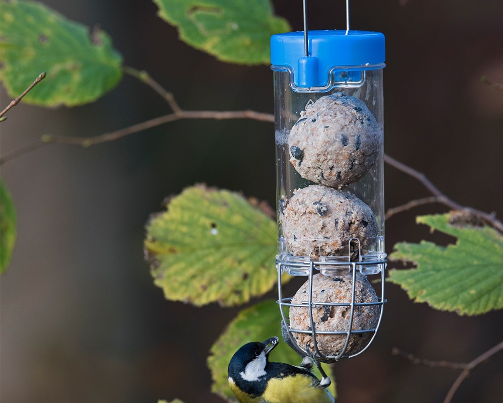 Get Set Go!™ Fat Ball Feeder