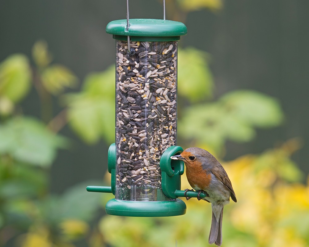 Ring-Pull™ Seed Feeder