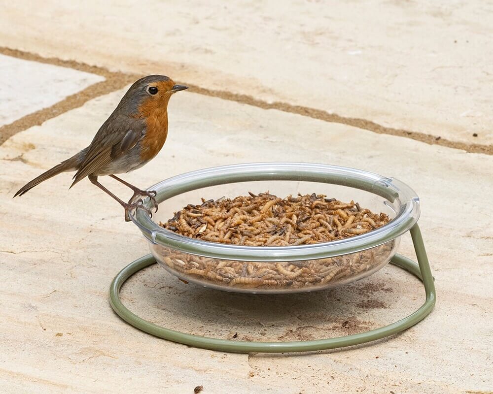 I Love Robins® Easy-Clean Treat Dish