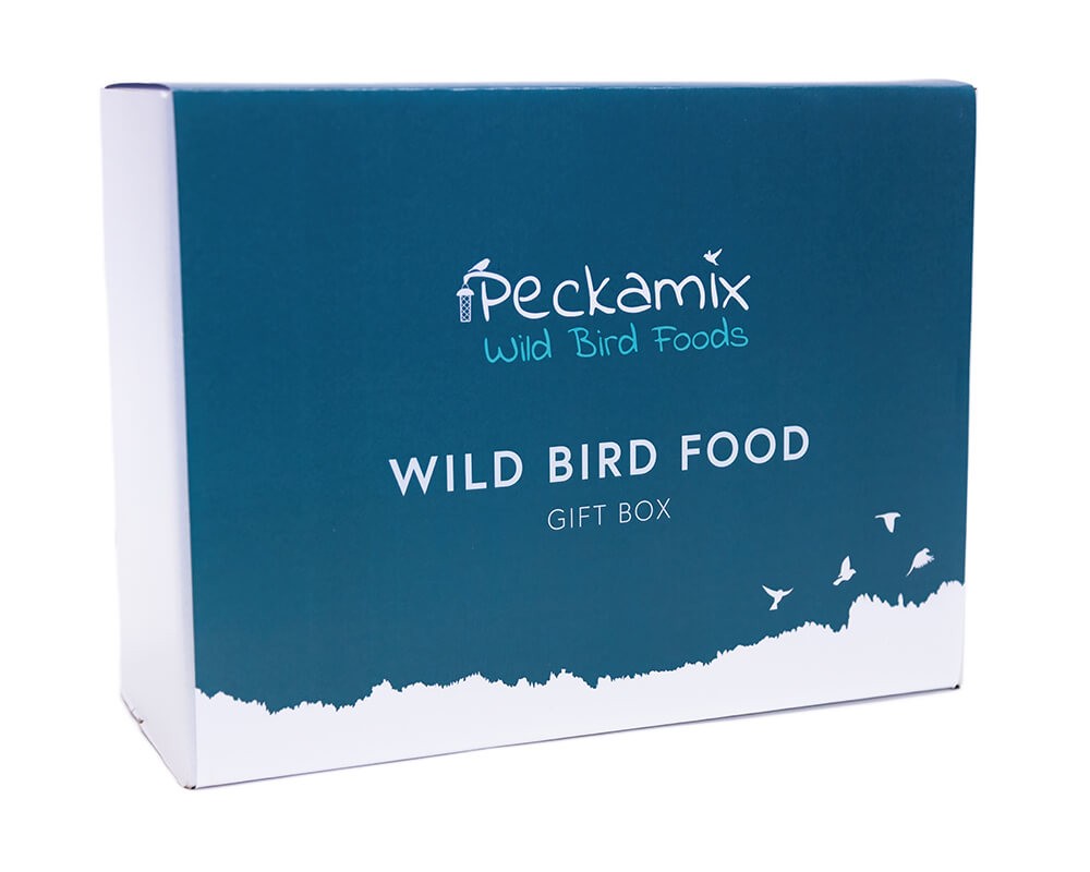 Seed Feeder Gift Box