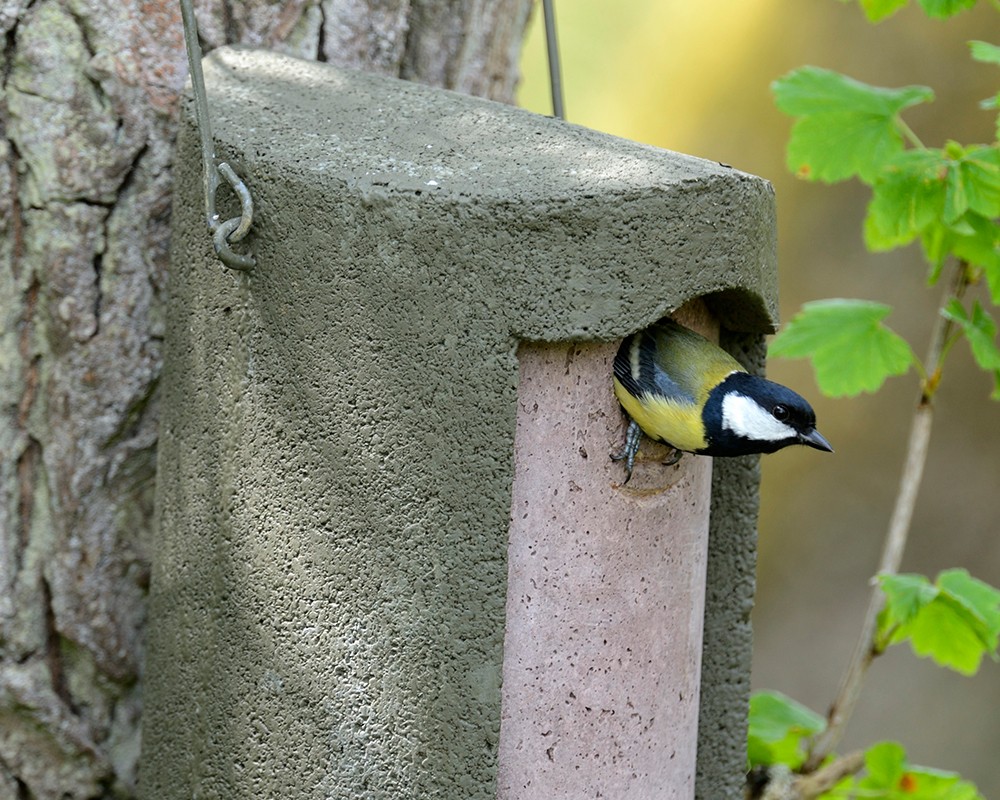 The Official™ Woodcrete Nest Box 32mm