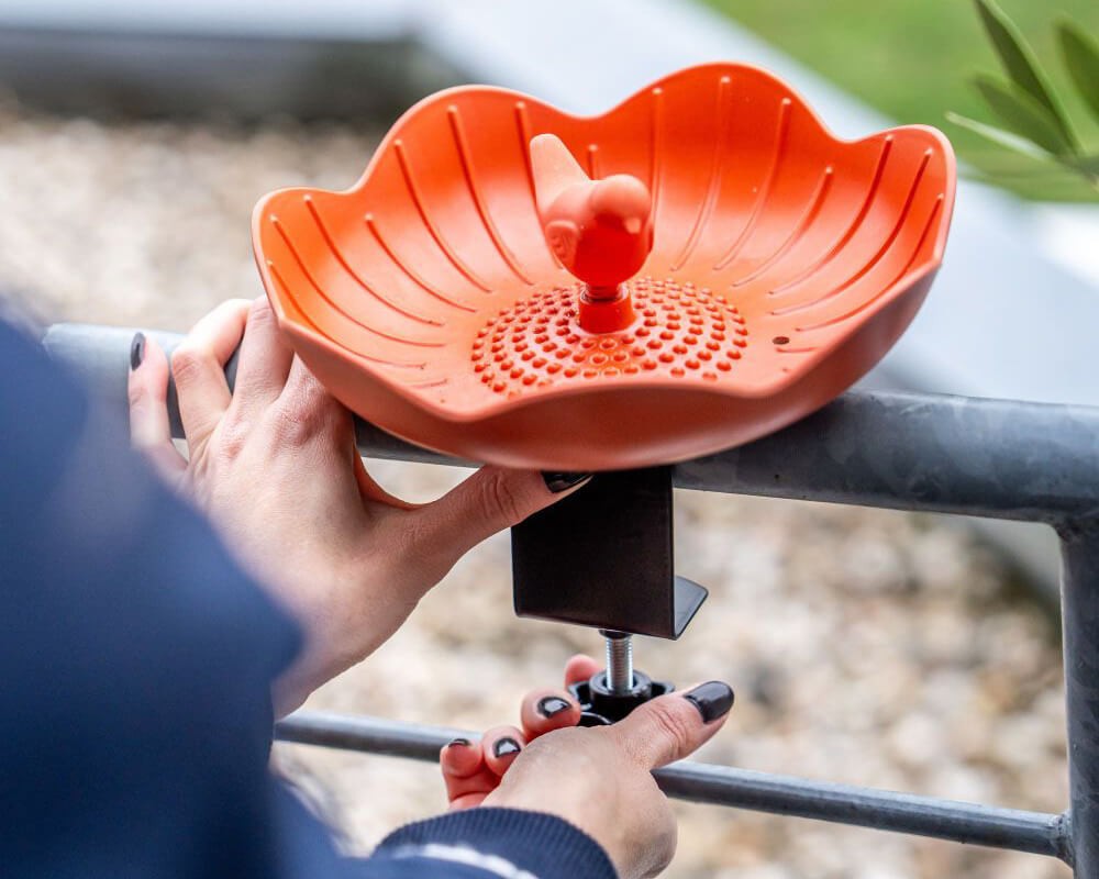 Balus Balcony Bird Feeding Dish