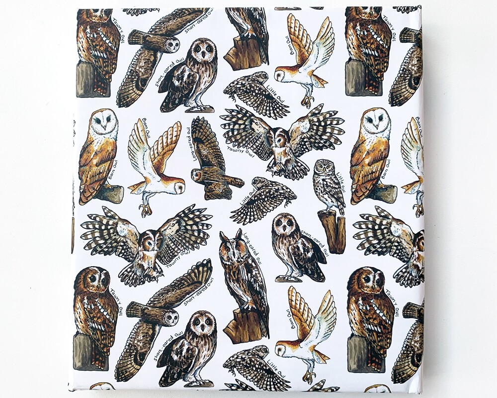 Wrapping Paper - Owls of Britain
