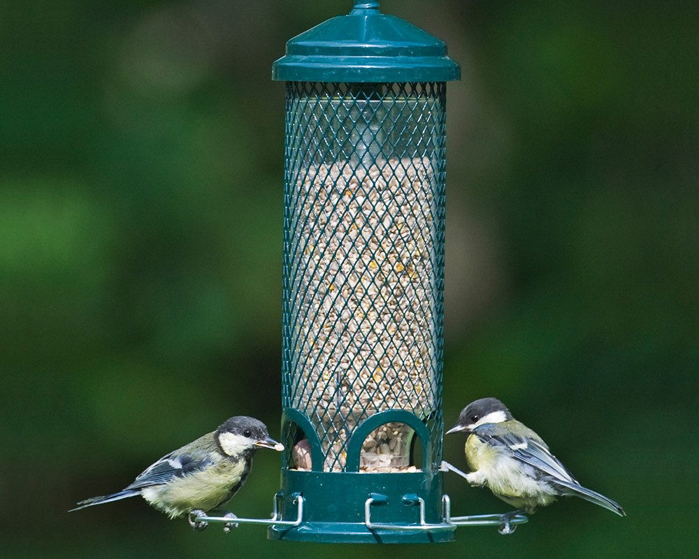 Squirrel Buster® Mini Seed Feeder