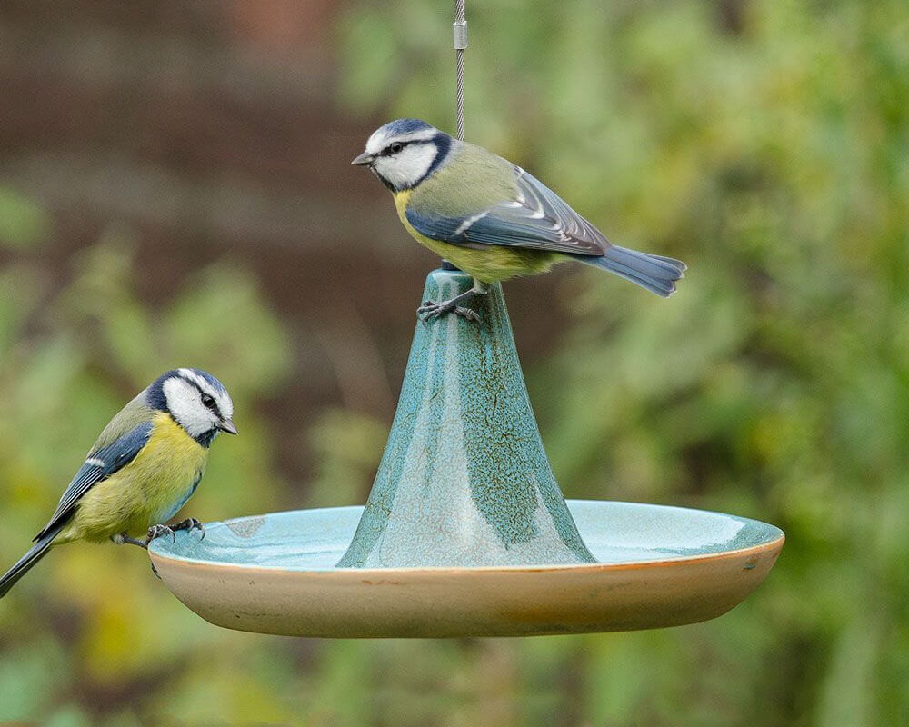 Vierno Tajine Hanging Water Dish for Wild Birds