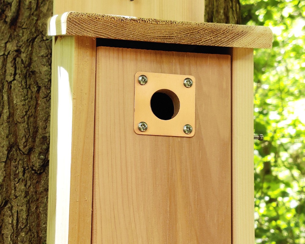Nest Box Protection Plate