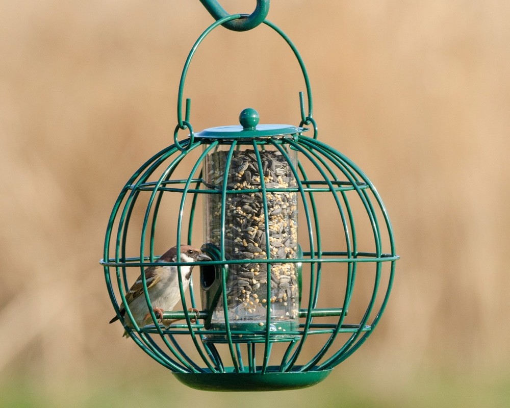 London Caged Seed Feeder