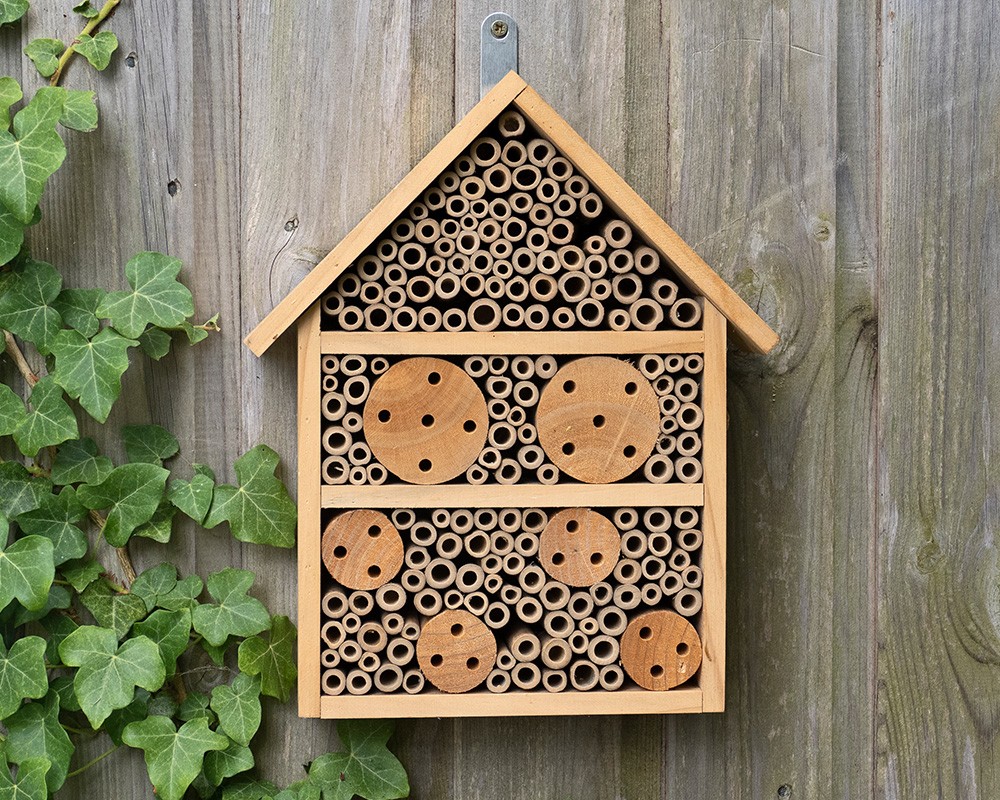 Nooks & Crannies Large Insect House