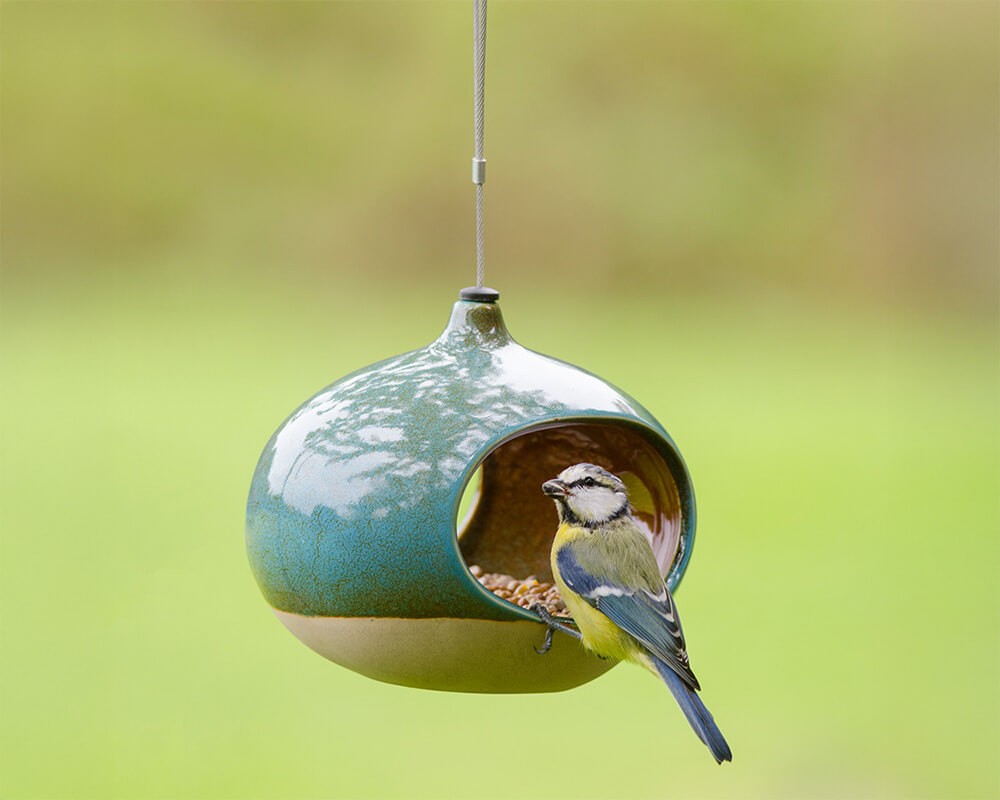 Vierno Diner Seed Feeder