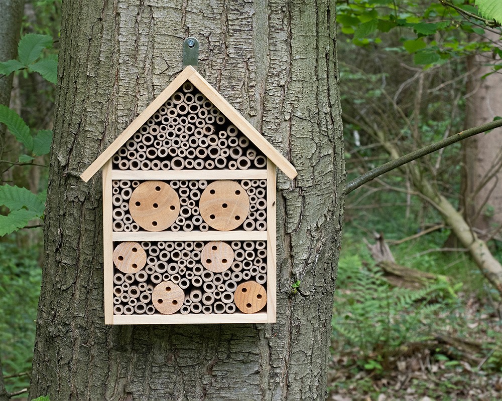 Nooks & Crannies Large Insect House