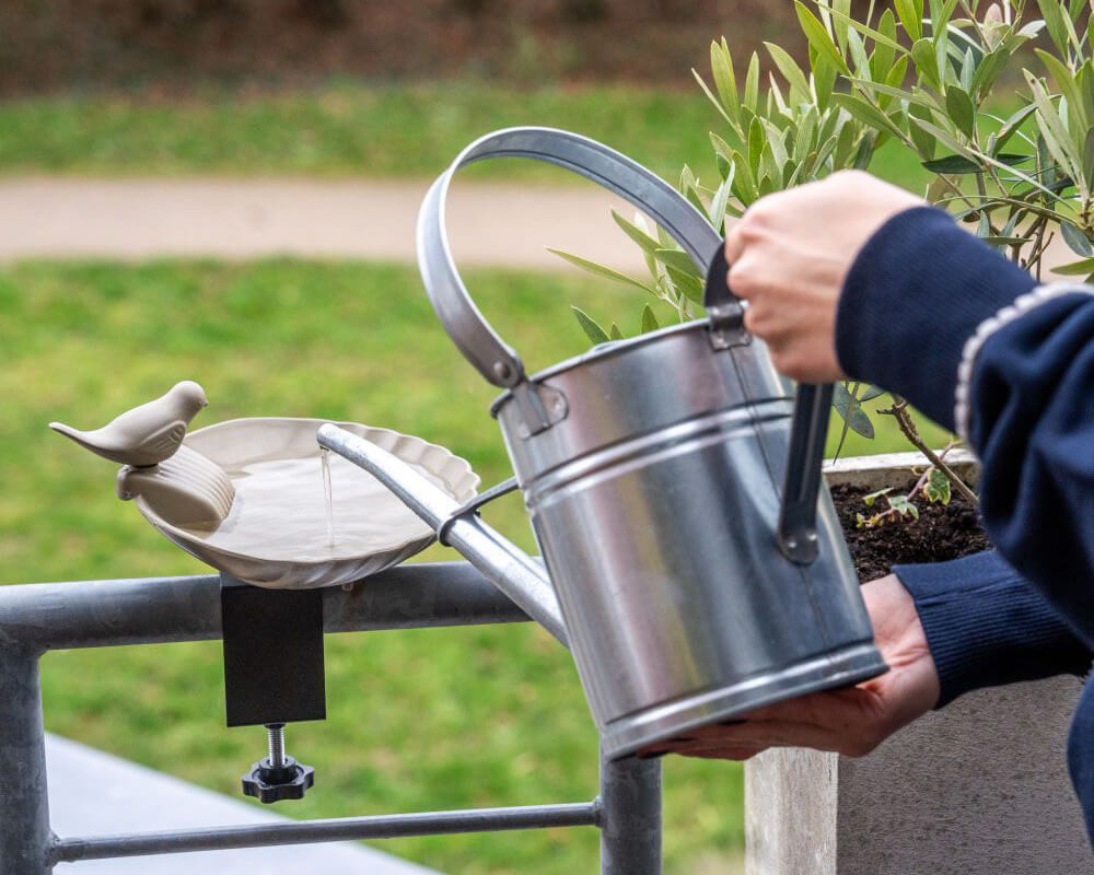 Balus Balcony Bird Bath & Water Dish