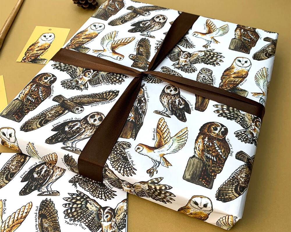 Wrapping Paper - Owls of Britain