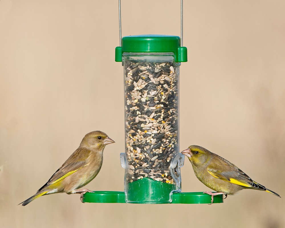 Get Set Go!™ Seed Feeder