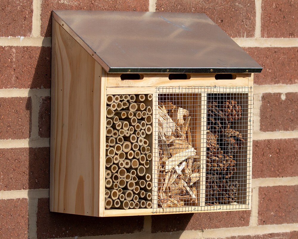 Quad Insect Hotel