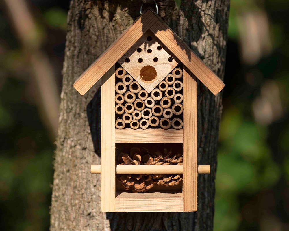 Nooks & Crannies Insect House