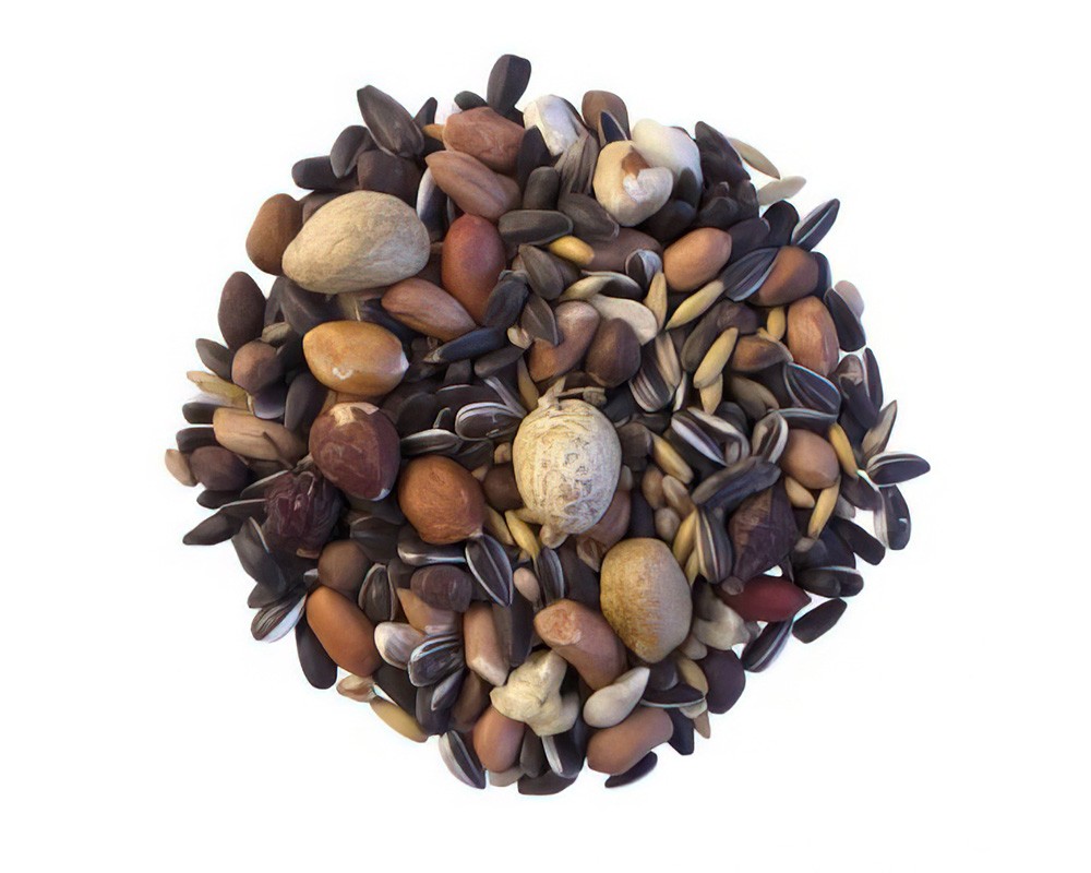 Mr Johnson’s Wildlife Squirrel Food