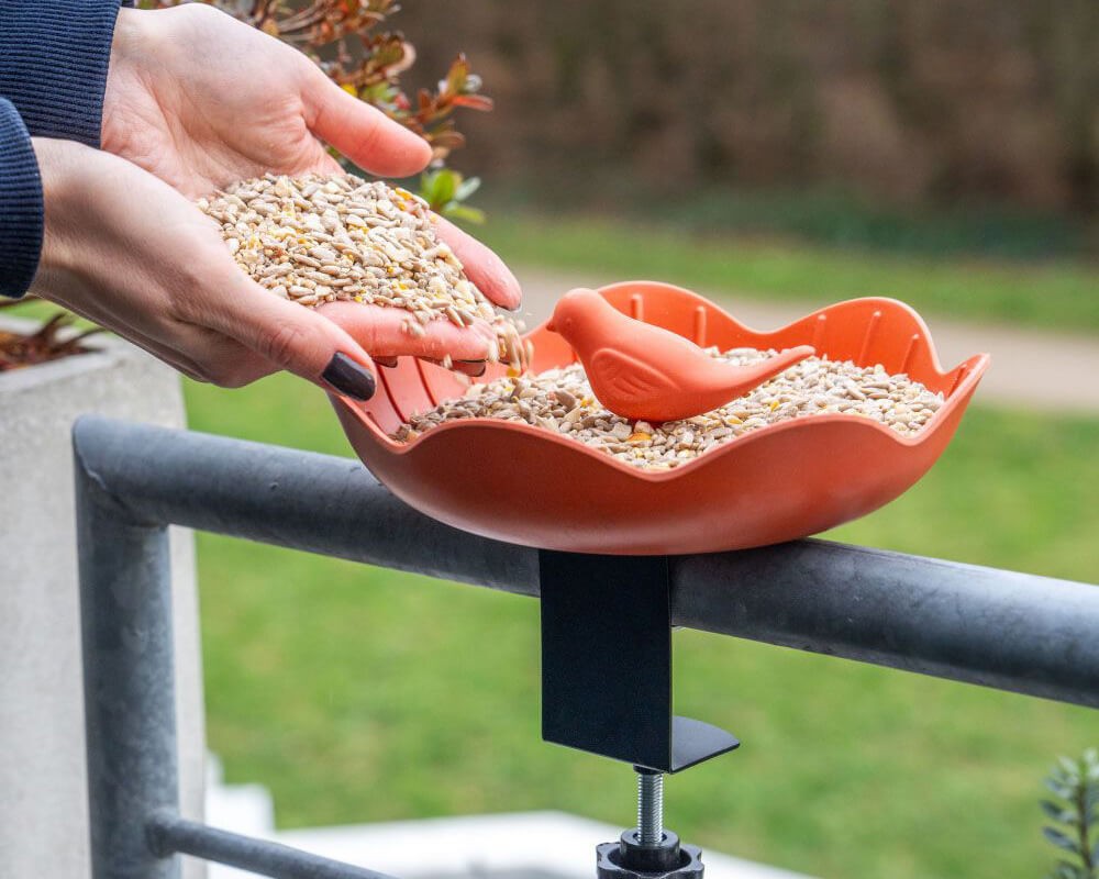 Balus Balcony Bird Feeding Dish