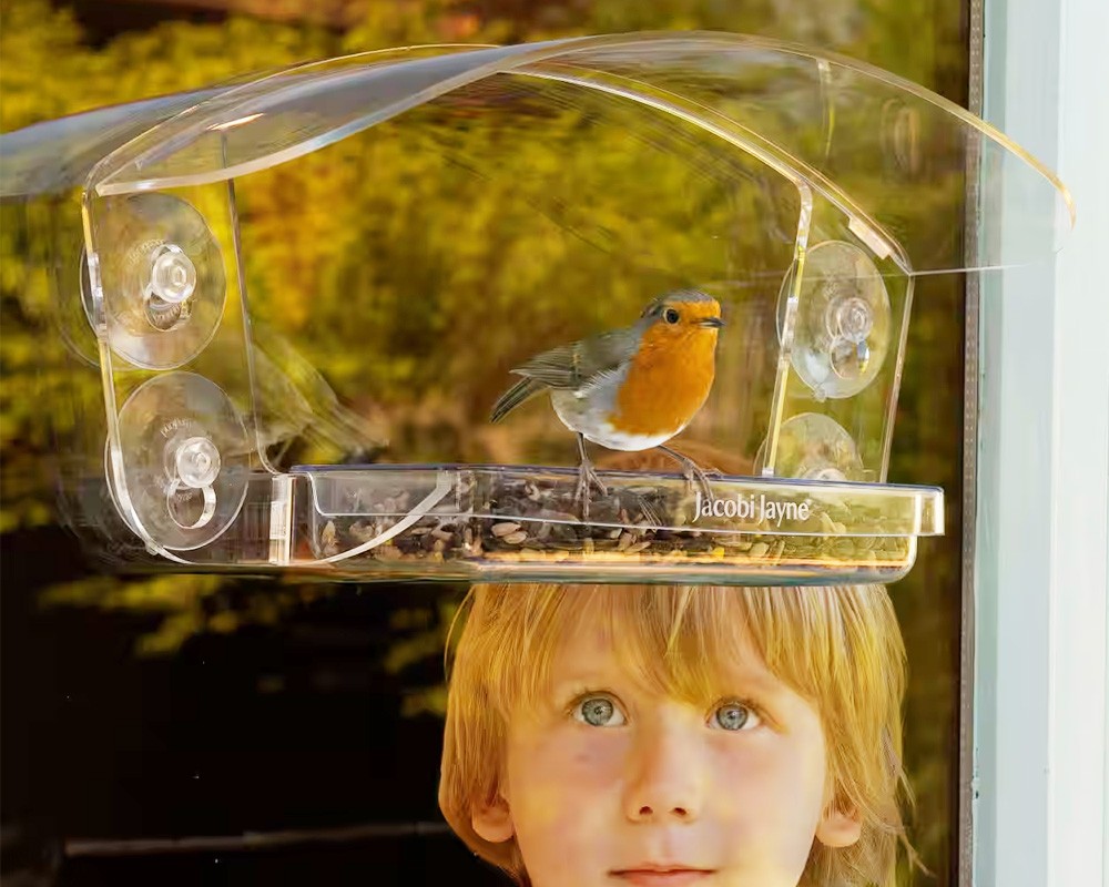 Sky Deck Window Bird Feeder
