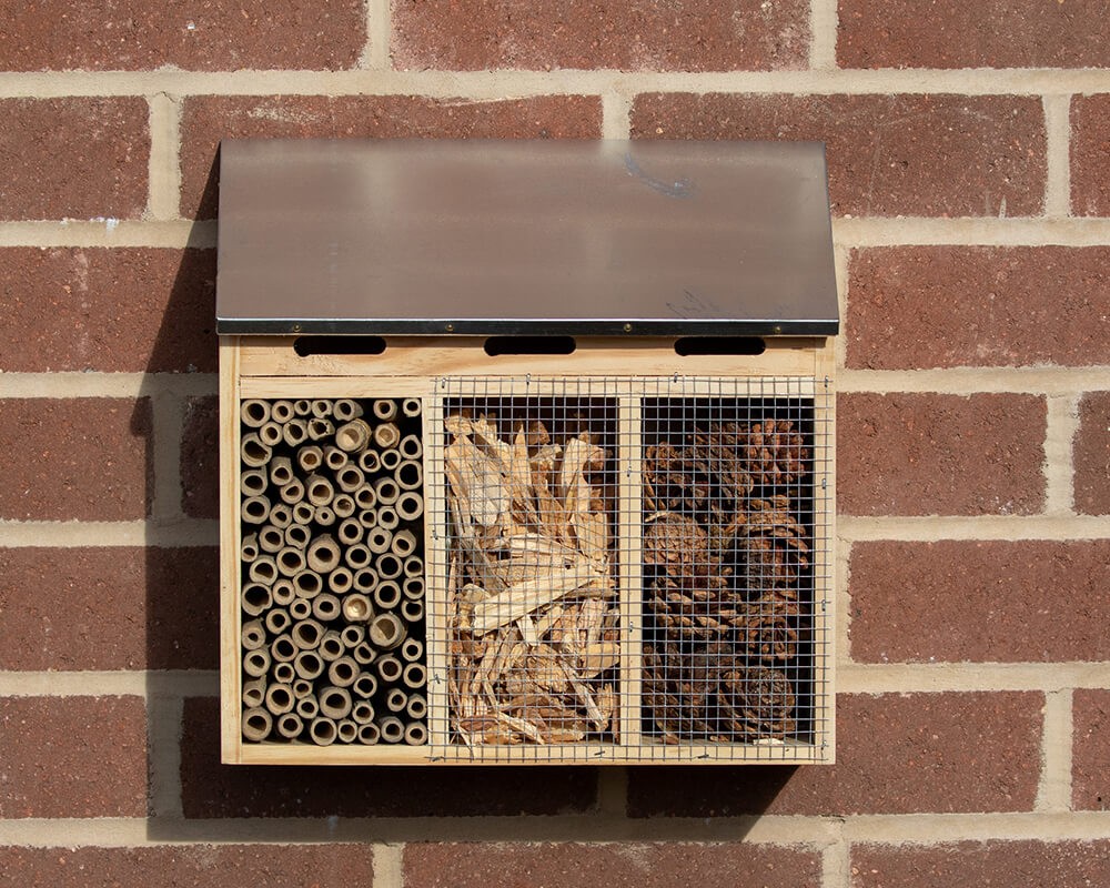 Quad Insect Hotel