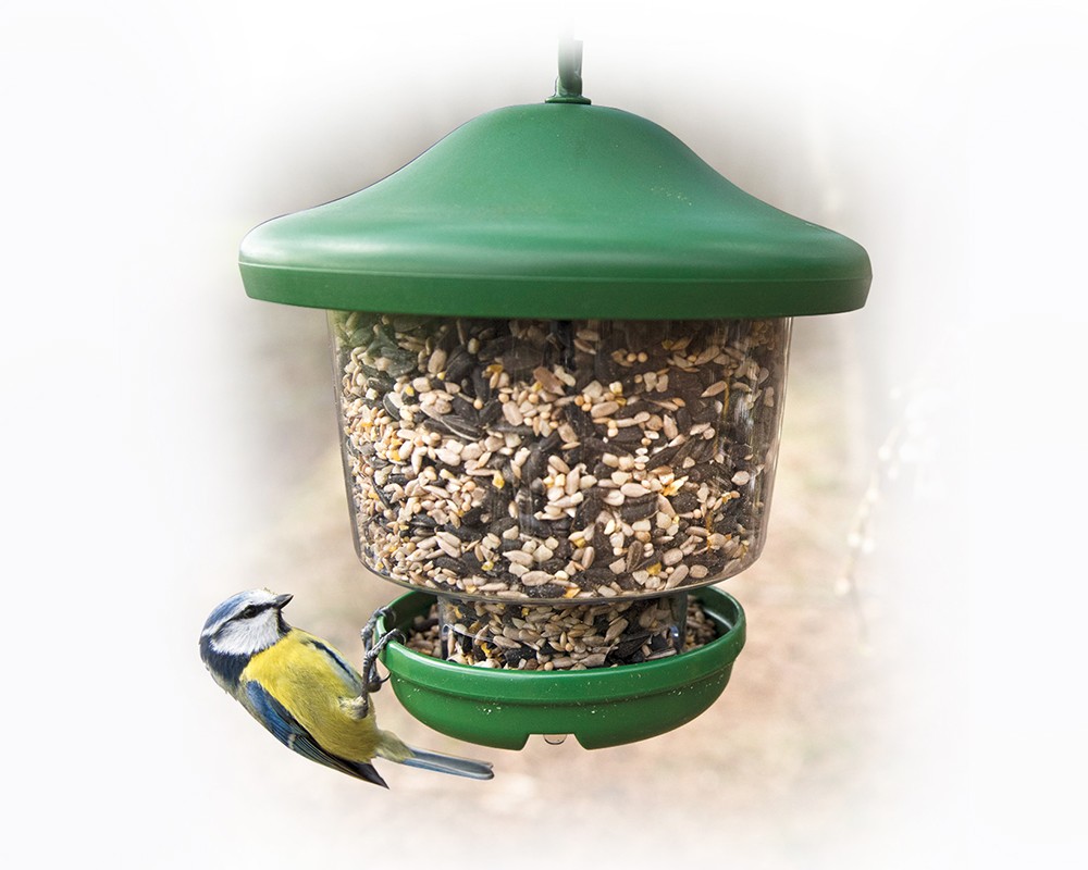 My Favourites™ Clinger Seed Feeder