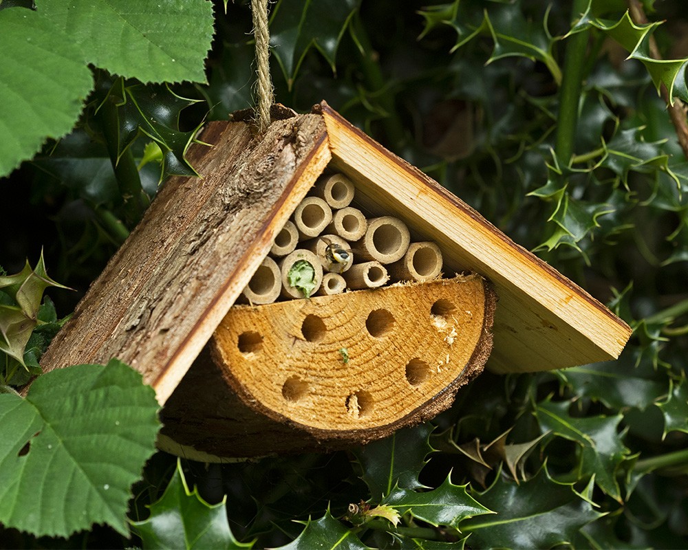 Nooks & Crannies Insect Loft