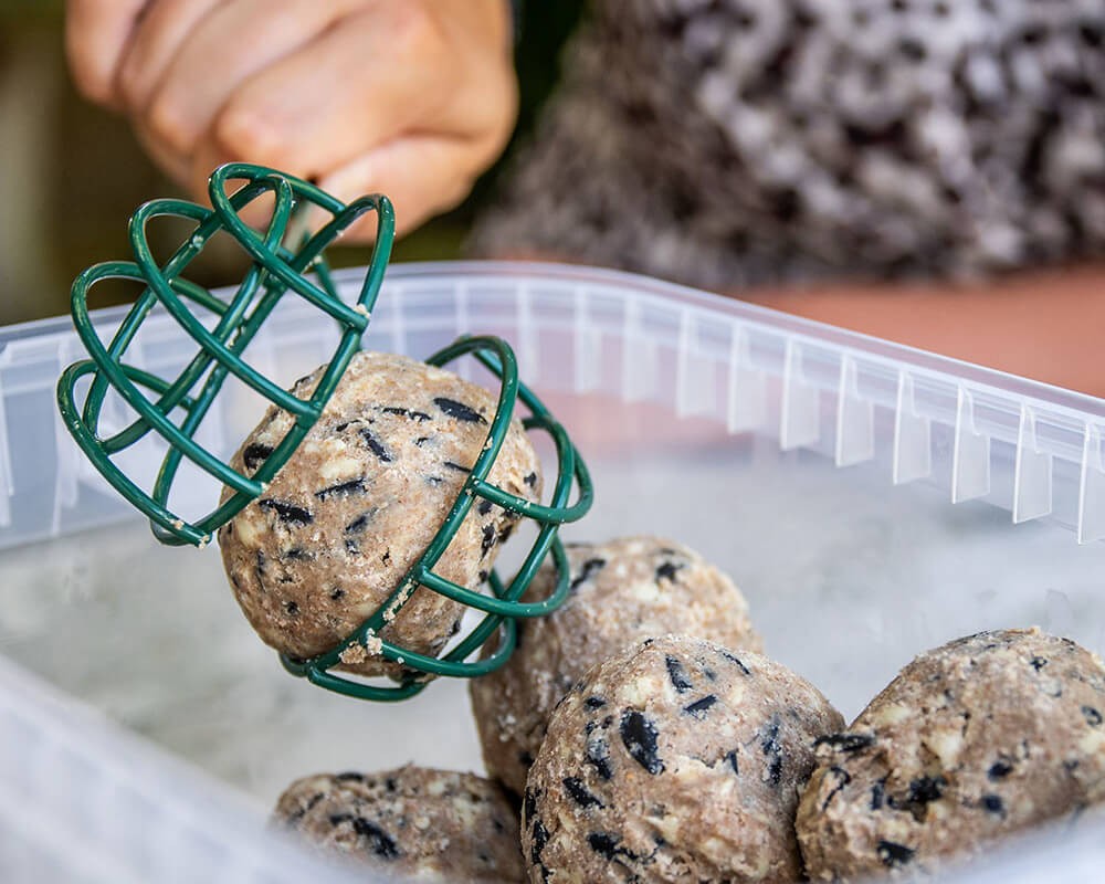 Lima Suet Ball Feeder