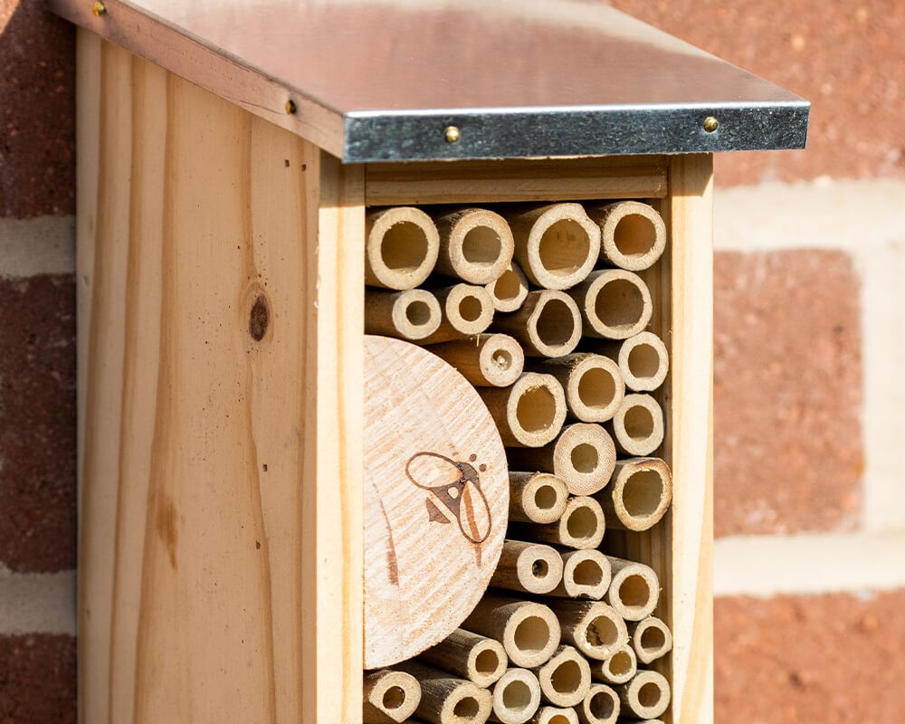 Tower Bee Hotel
