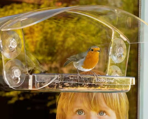 Wild Bird Window Feeders